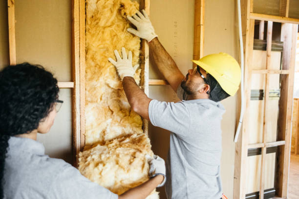 Best Basement Insulation  in Athens, IL